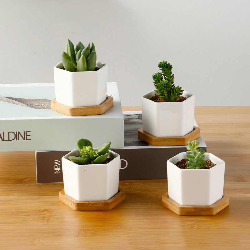 Aloe Vera Pot - กระถางเซรามิกทรงหกเหลี่ยมสีขาวพร้อมถาดกระถางดอกไม้แบบยุโรปกระถางปลูกพืชอวบน้ำแบบเรียบง่ายกระถางบอนไซขนาดเล็ก