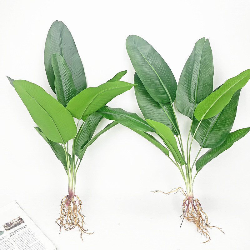 ประดิษฐ์กล้วยต้นไม้จำลองสีเขีย - Dracaena Marginata บทวิจารณ์และราคา