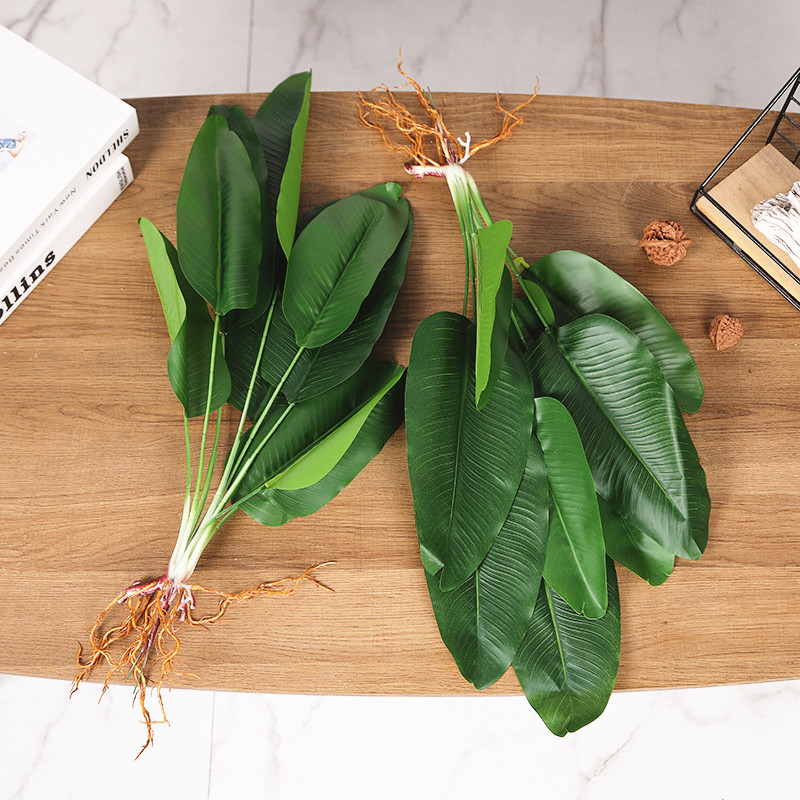 ประดิษฐ์กล้วยต้นไม้จำลองสีเขีย - Dracaena Marginata บทวิจารณ์และราคา