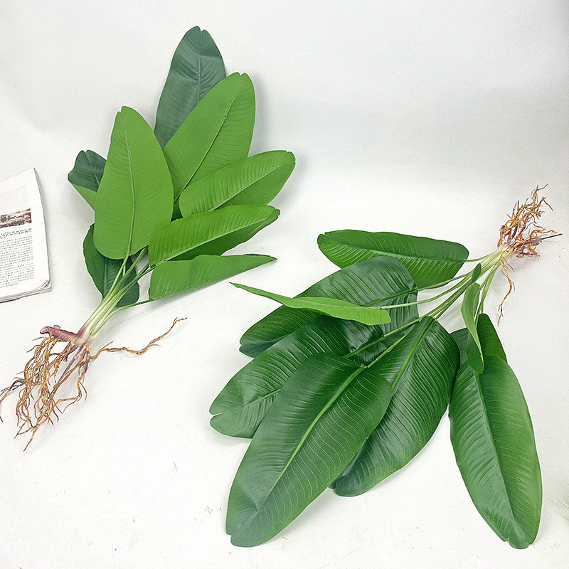 ประดิษฐ์กล้วยต้นไม้จำลองสีเขีย - Dracaena Marginata บทวิจารณ์และราคา
