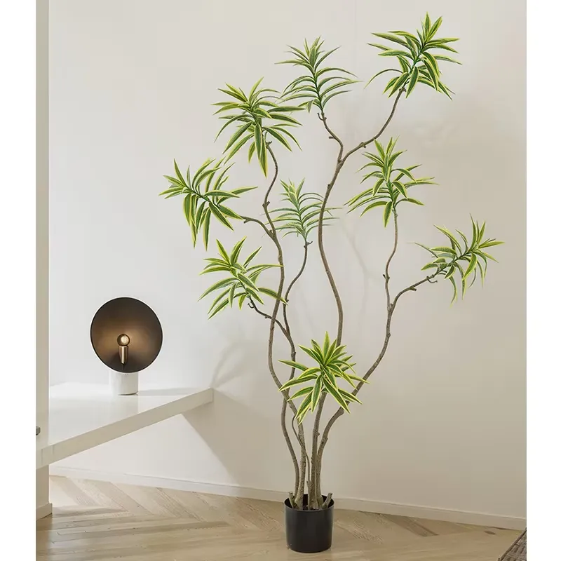 ต้นไม้ประดิษฐ์จำลองเสมือนจริง  - Dracaena Marginata บทวิจารณ์และราคา