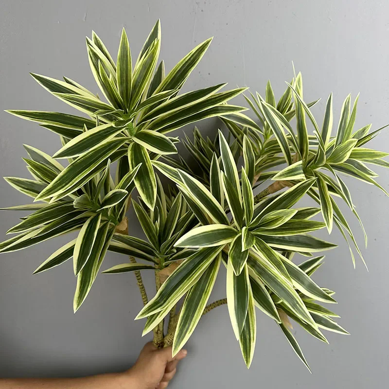 พืชสีเขียวประดิษฐ์ Tropical Li - Dracaena Marginata บทวิจารณ์และราคา