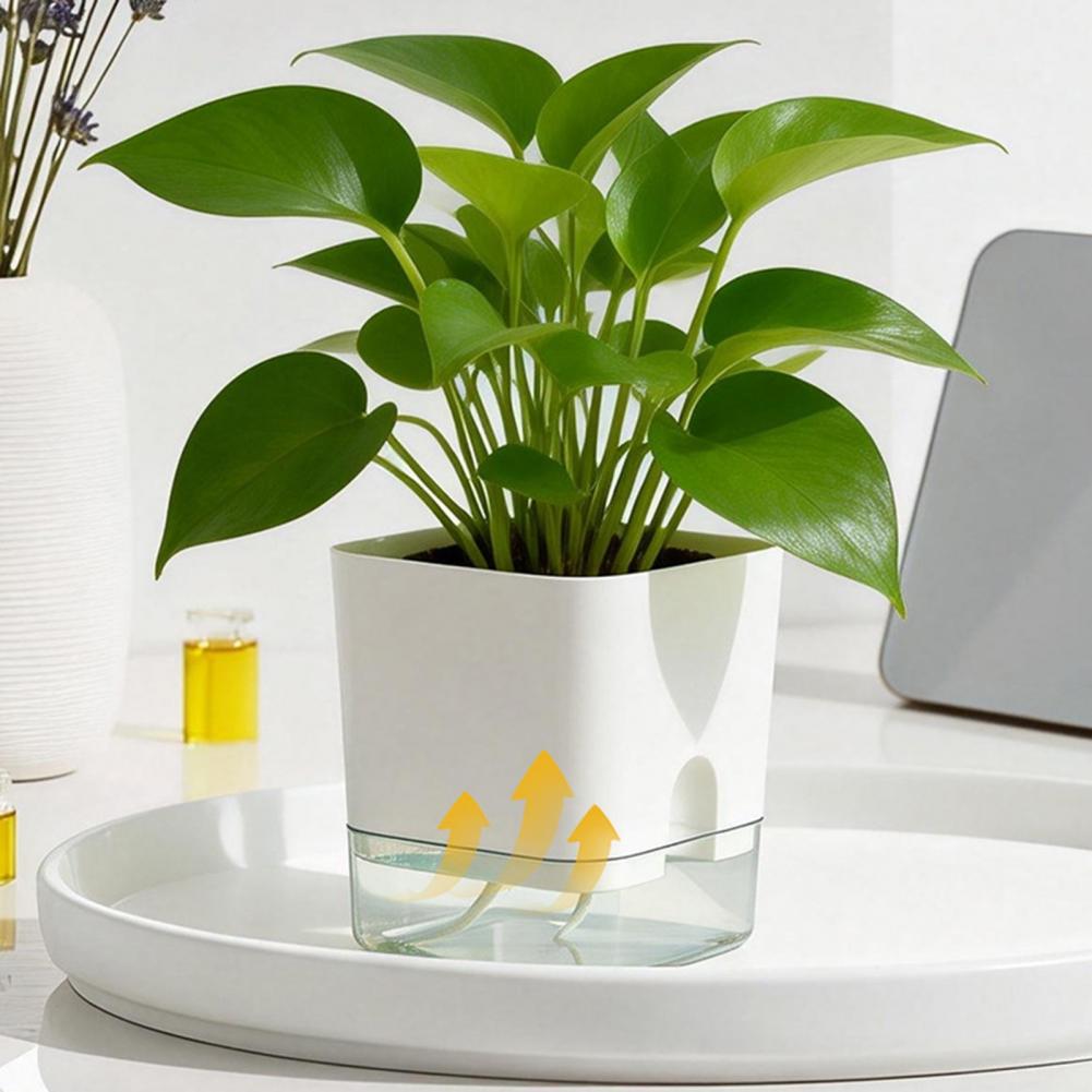 กระถางดอกไม้รดน้ำอัตโนมัติ กระ - Aloe Vera Pot บทวิจารณ์และราคา