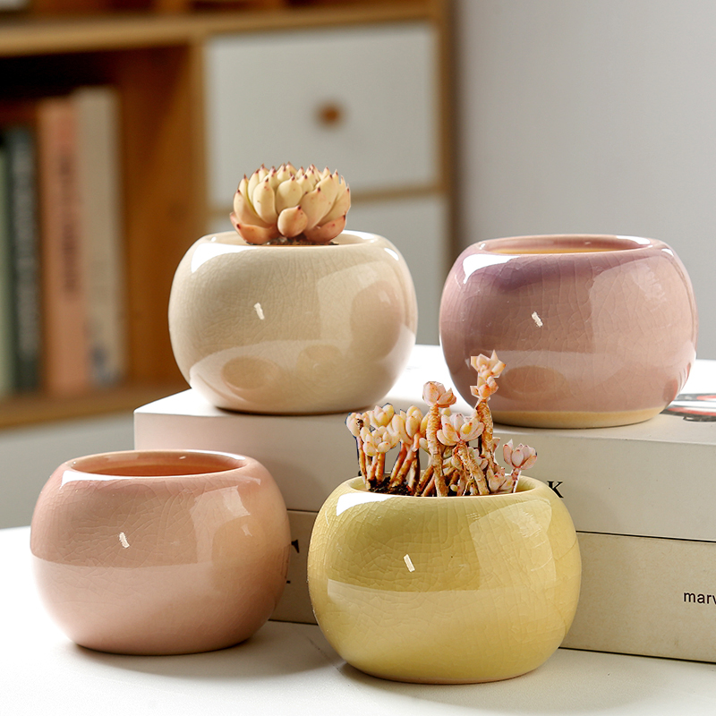 กระถางดอกไม้ลายแตกน้ำแข็ง ขนาด - Aloe Vera Pot บทวิจารณ์และราคา