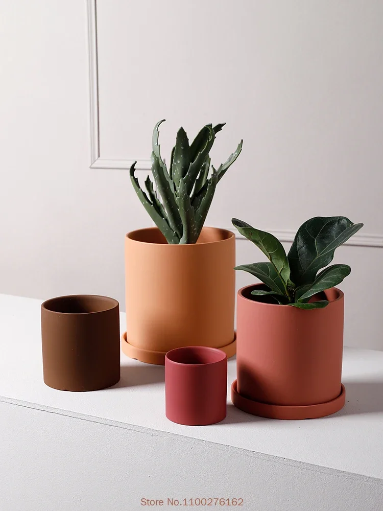กระถางต้นไม้เซรามิกสีพื้นใหม่  - Echeveria Succulent บทวิจารณ์และราคา