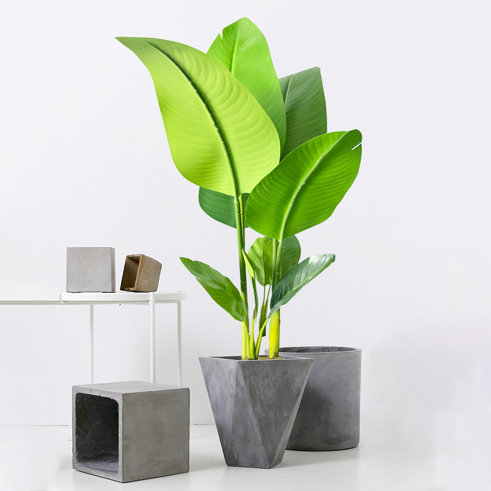 ต้นกล้วยปลอมขนาด 37/77 ซม. ต้น - Dracaena Marginata บทวิจารณ์และราคา